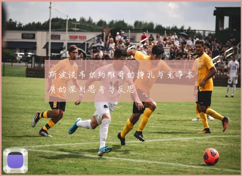 斯波谈韦尔约维奇的挣扎与竞争本质的深刻思考与反思