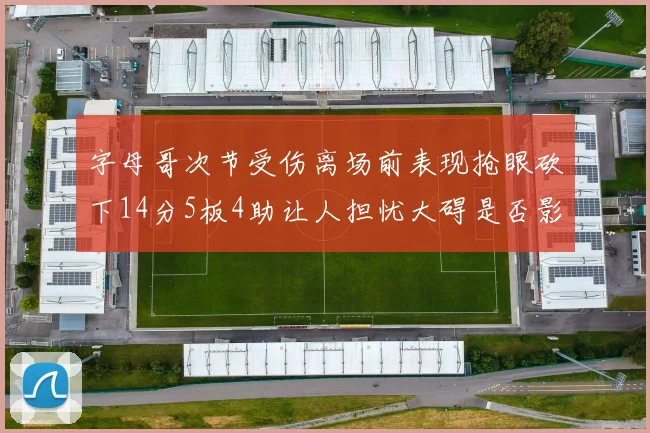 字母哥次节受伤离场前表现抢眼砍下14分5板4助让人担忧大碍是否影响后续比赛