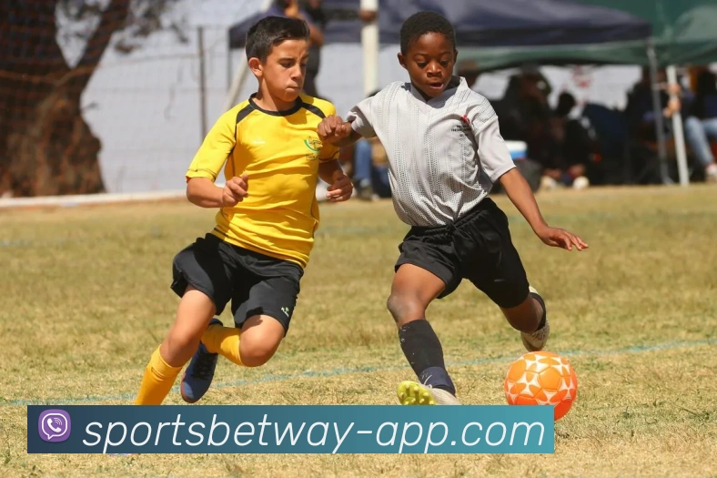 必威体育APP 封面图